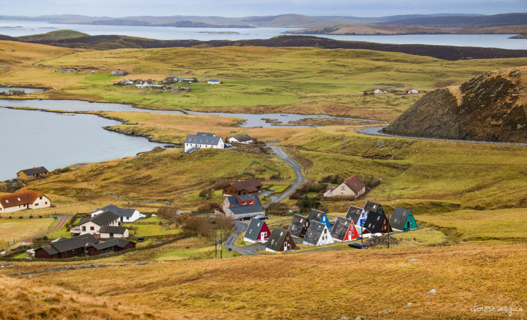 shetland