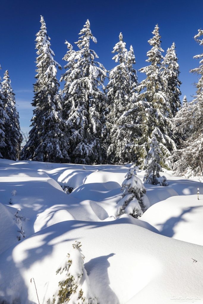 stations de ski familiales en france