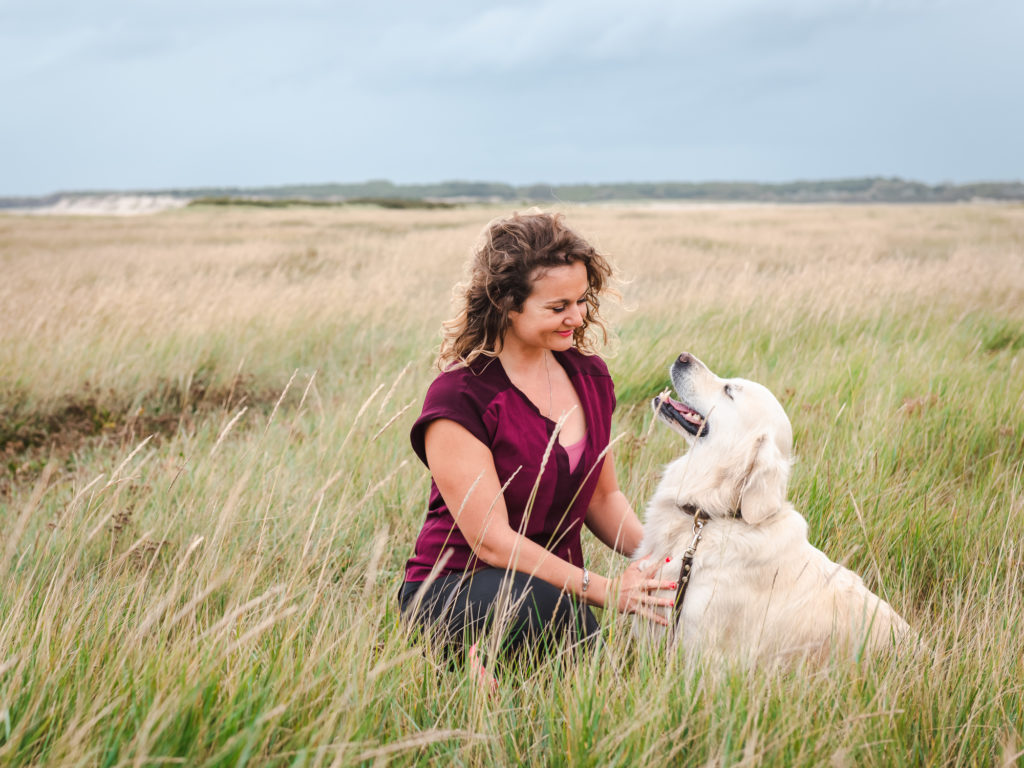 Visiter la Somme avec son chien