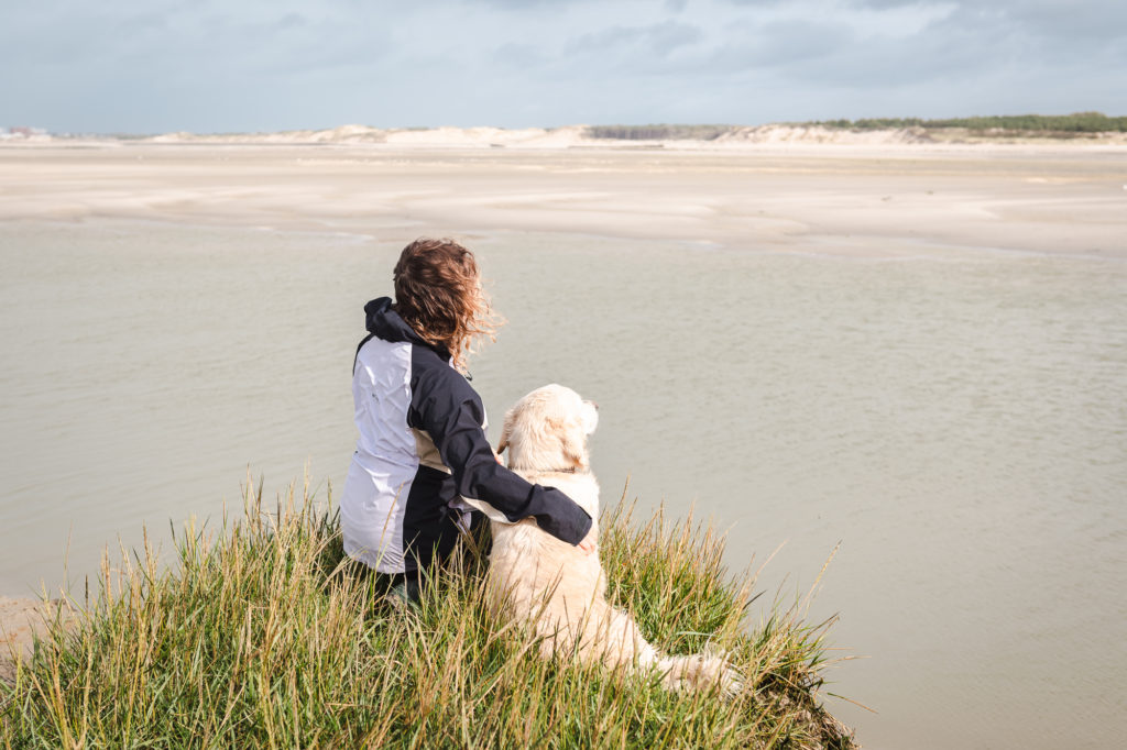 Visiter la Somme avec son chien : que faire, que voir dans la Somme avec son chien ?