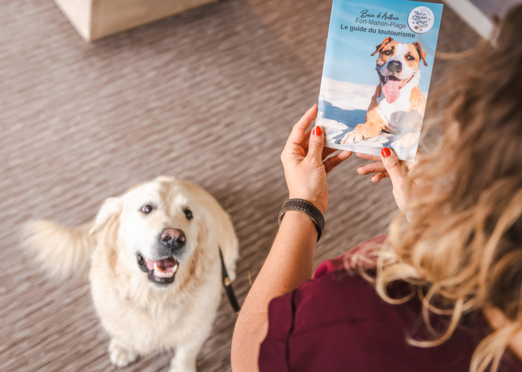 visiter la somme avec son chien 