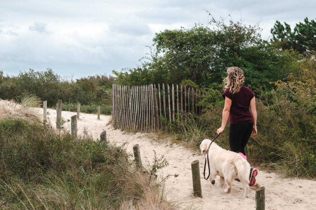 Que voir et que faire dans la Somme avec son chien ? Visiter la Somme avec son chien. Voyage avec son chien dans la Somme