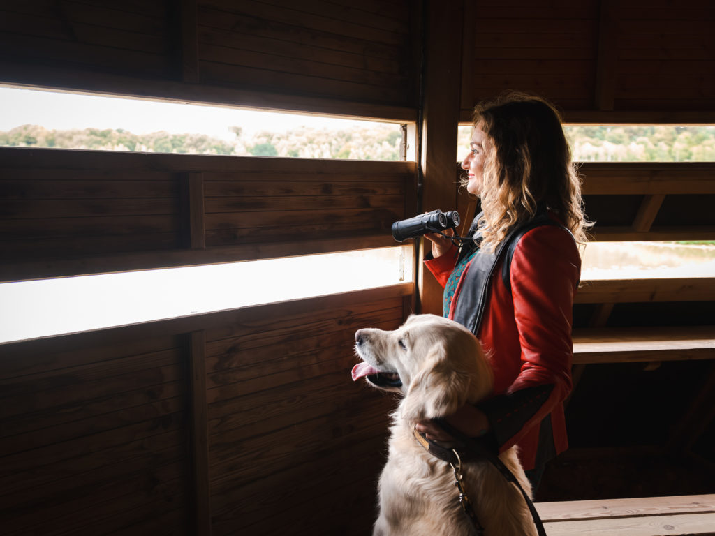 visiter la somme avec son chien 