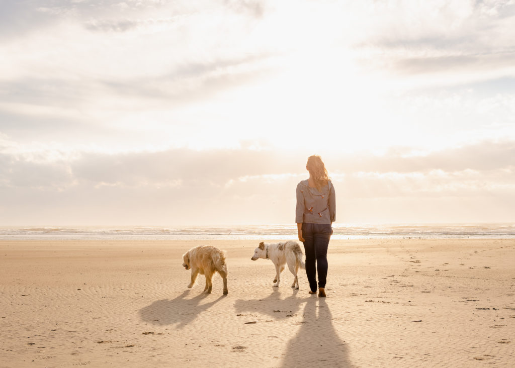 Visiter la Somme avec son chien : que faire, que voir dans la Somme avec son chien ?