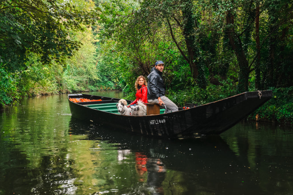 visiter amiens dans la somme avec son chien 