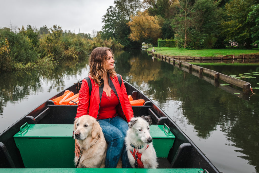 visiter amiens dans la somme avec son chien 