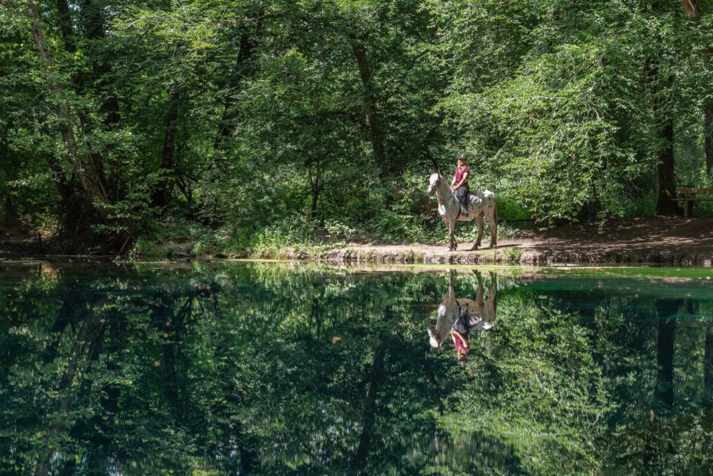 La source du Planey, site sublime dans les Vosges du Sud