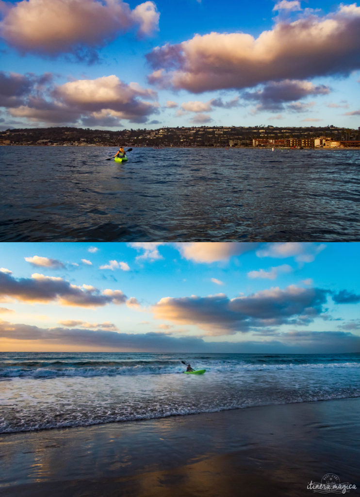 Voyage à San Diego : ne manquez pas La Jolla ! Jouer avec les otaries en toute liberté, faire du kayak au milieu des phoques… une destination californienne nature !