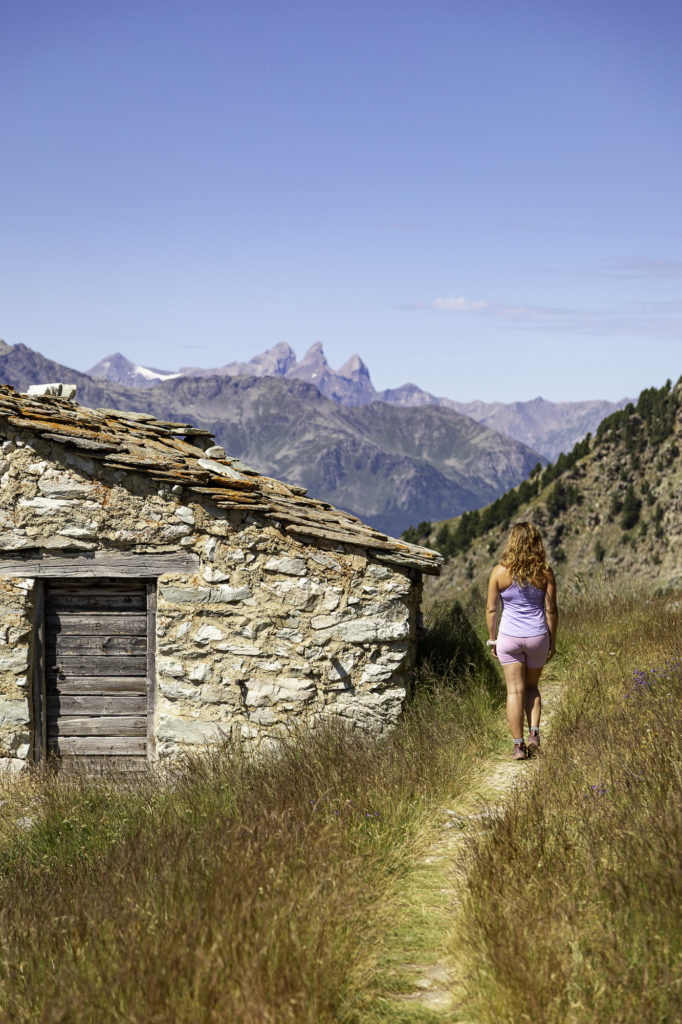 tour des glaciers de la vanoise randonnée au départ de pralognan