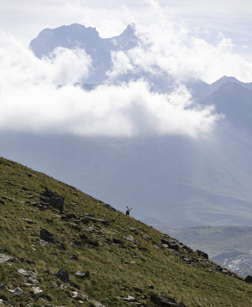 tour des glaciers de la vanoise randonnée au départ de pralognan