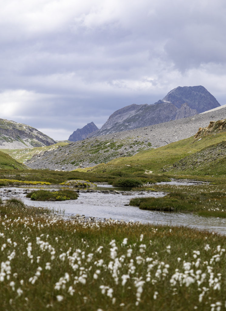 tour des glaciers de la vanoise sur 7 jours trek randonnée