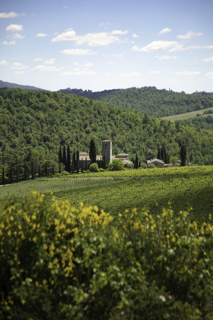 Visiter le Chianti à vélo en toscane