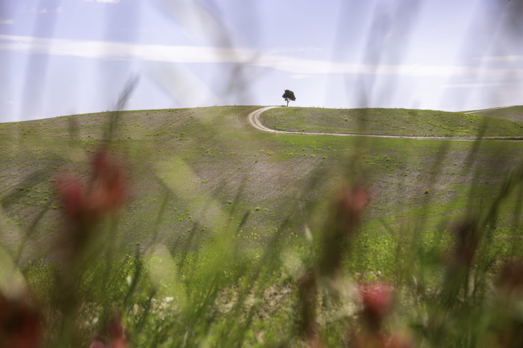 toscane à vélo : les crete senesi