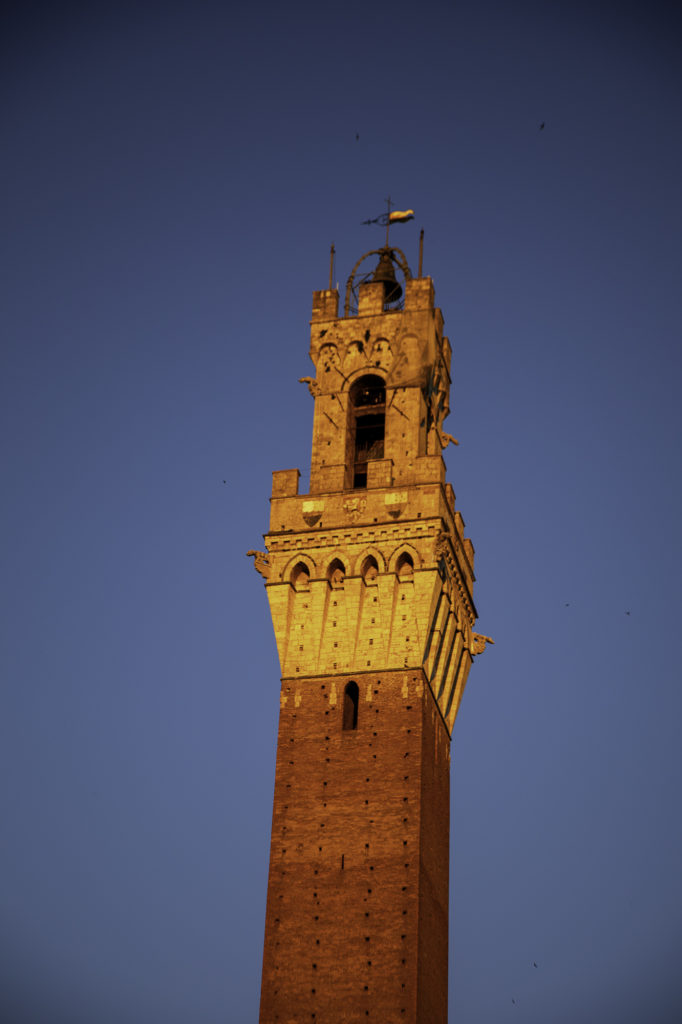 Duomo de Sienne en Toscane 
