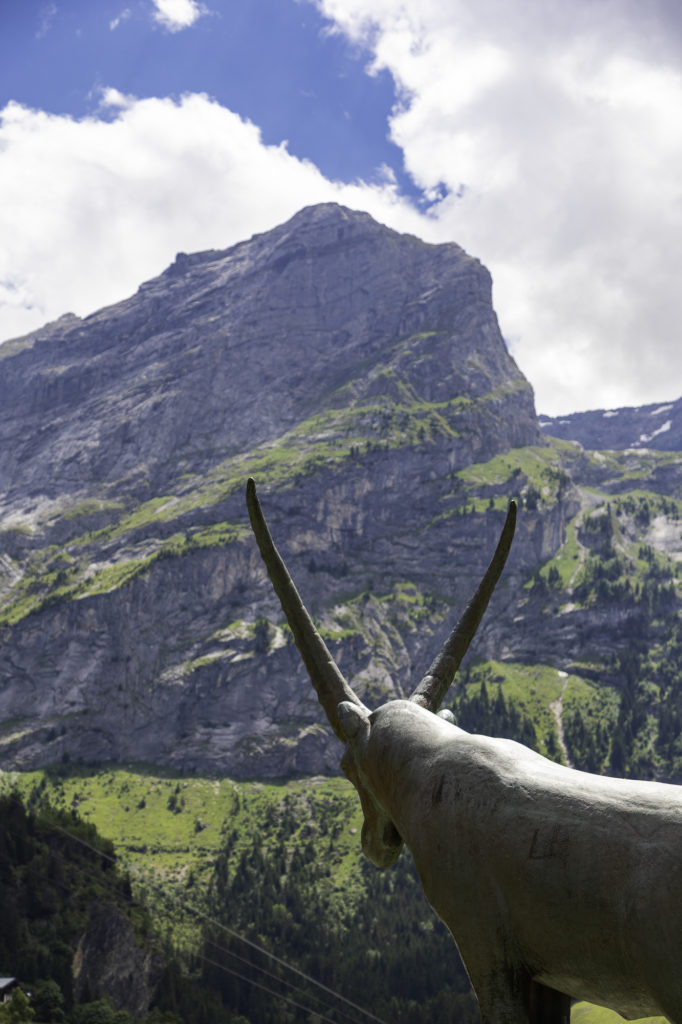 Pralognan la Vanoise point de départ tour glaciers vanoise