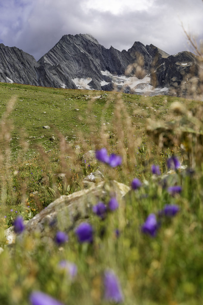 tour des glaciers de la vanoise randonnée au départ de pralognan