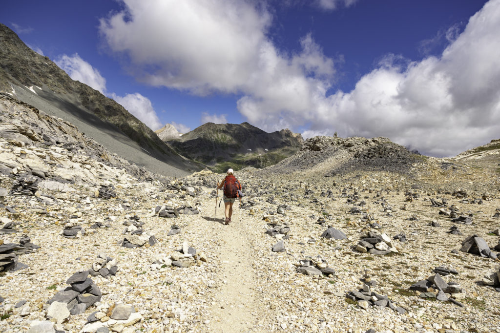 tour des glaciers de la vanoise randonnée au départ de pralognan