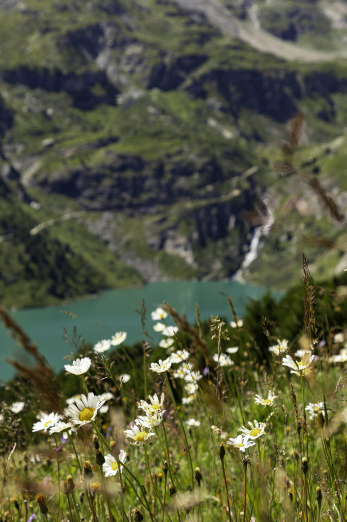 pralognan la vanoise tour des glaciers de la vanoise les plus beaux lacs