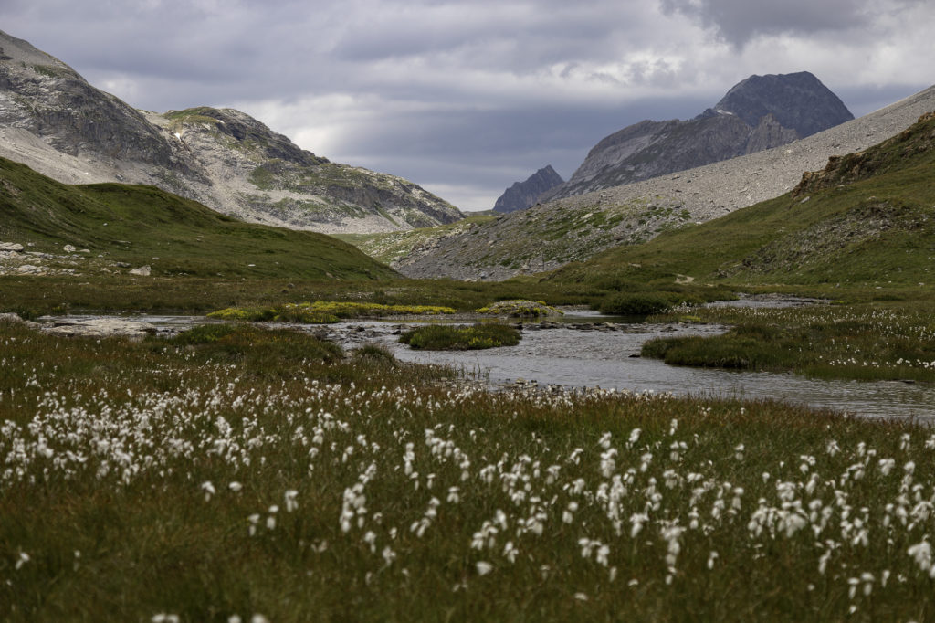 pralognan la vanoise tour des glaciers de la vanoise les plus beaux lacs