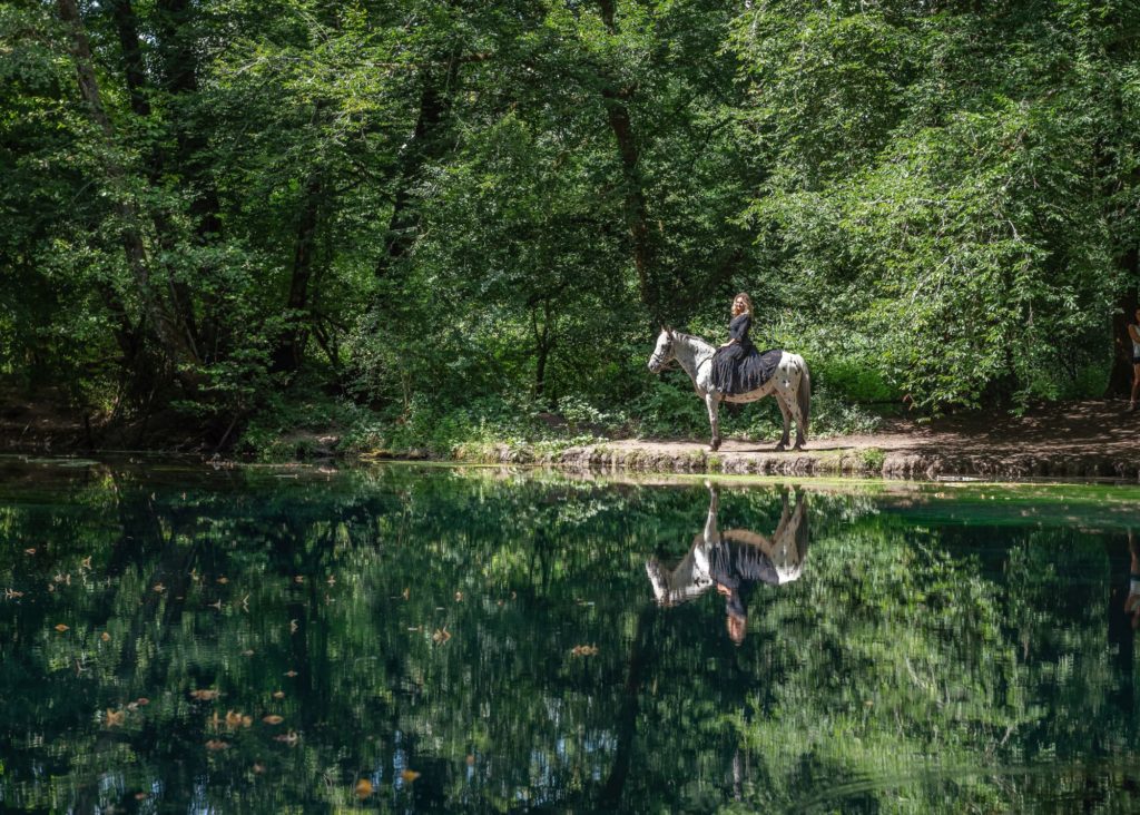 La source du Planey, site sublime dans les Vosges du Sud