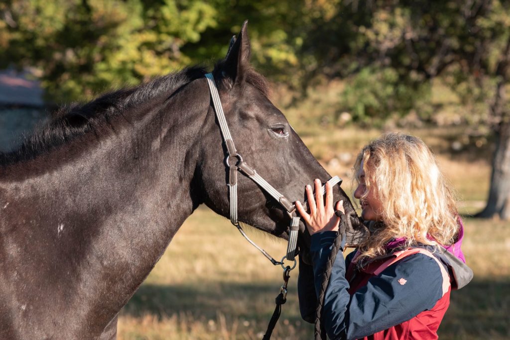 Les Alpes de Haute Provence à cheval : 3 jours de randonnée équestre dans la région de Digne-les-Bains, au coeur des Alpes du Sud