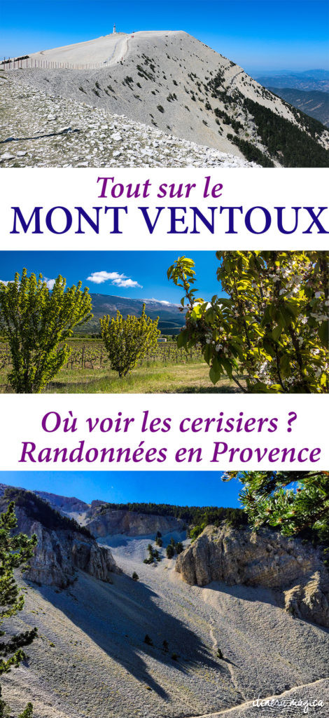 Tout sur le Mont Ventoux en Provence : où voir les cerisiers du Ventoux ? Les plus belles randonnées ? Que faire dans la région du Ventoux et de Carpentras ?