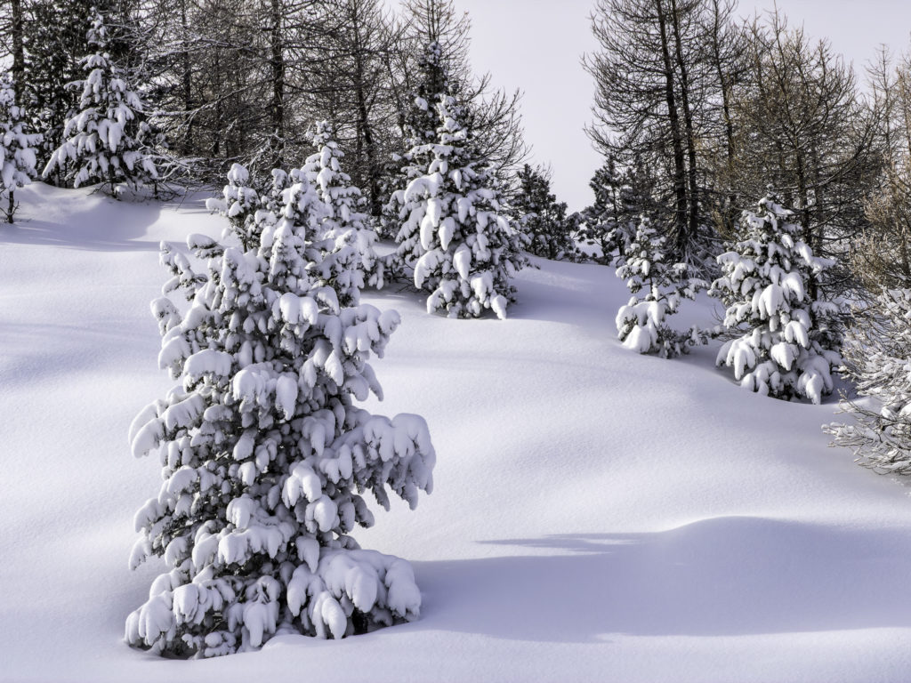 Pourquoi j’aime Vacances Léo Lagrange ? Des hôtels-clubs tout compris en France, entre nature et sport, pour des séjours accessibles à tous.