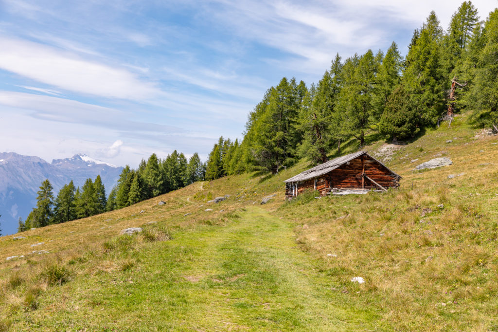 Randonnées en val d'Hérens, randonnée Hérémence : alpage mandelon