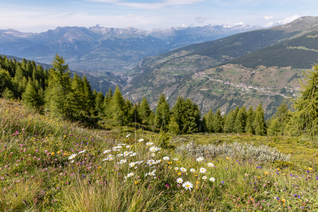 Randonnées en val d'Hérens, randonnée Hérémence : alpage mandelon