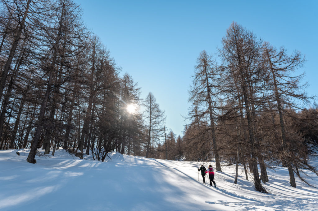 Que voir et que faire dans le Val d'Allos en hiver ? Ski, raquettes, insolites, bonnes adresses et authenticité