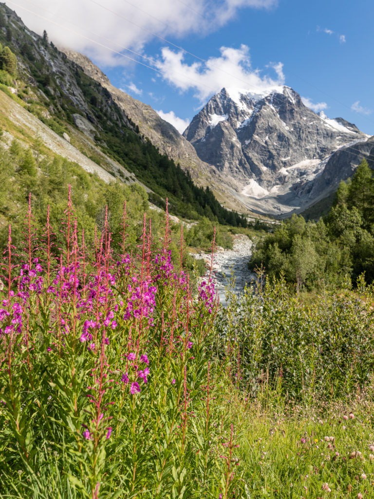 Mes plus belles randonnées en Val d'Hérens : Arolla