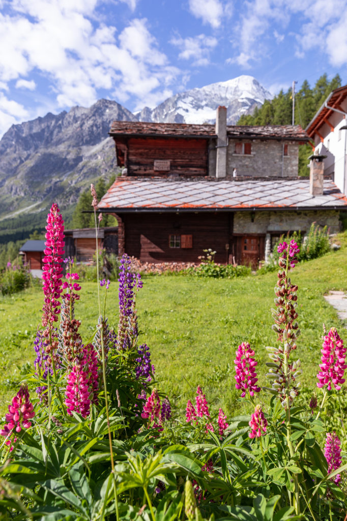 Mes plus belles randonnées en Val d'Hérens : Arolla