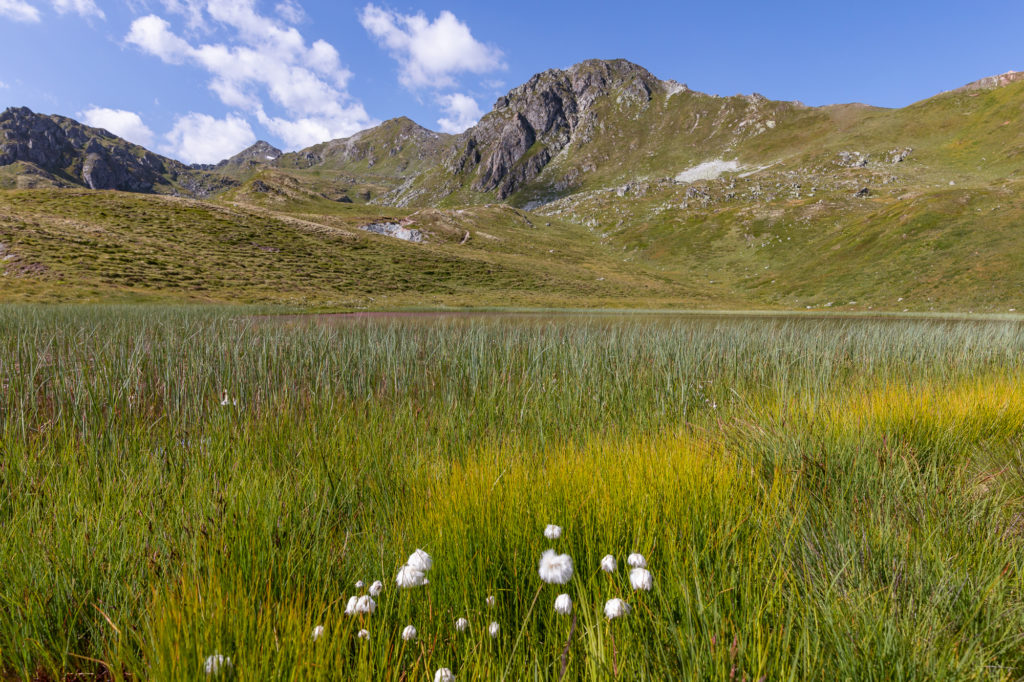 Randonnées en val d'Hérens, randonnée Thyon : gouilles d'Essertze