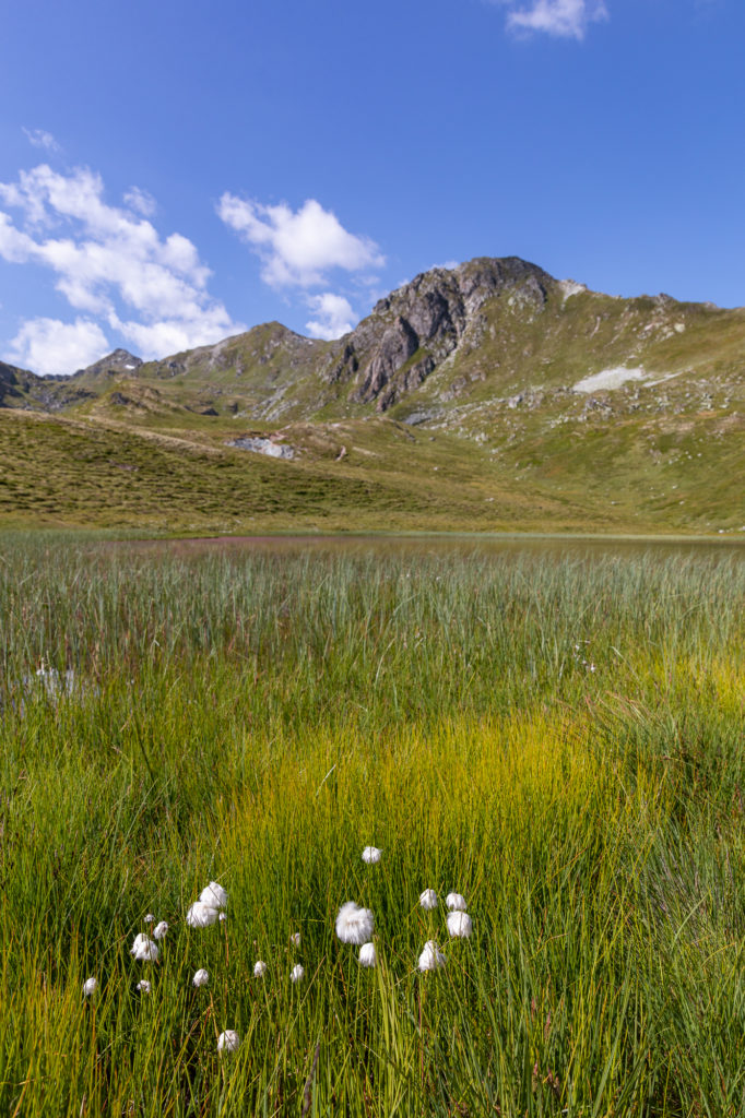 Randonnées en val d'Hérens, randonnée Thyon : gouilles d'Essertze