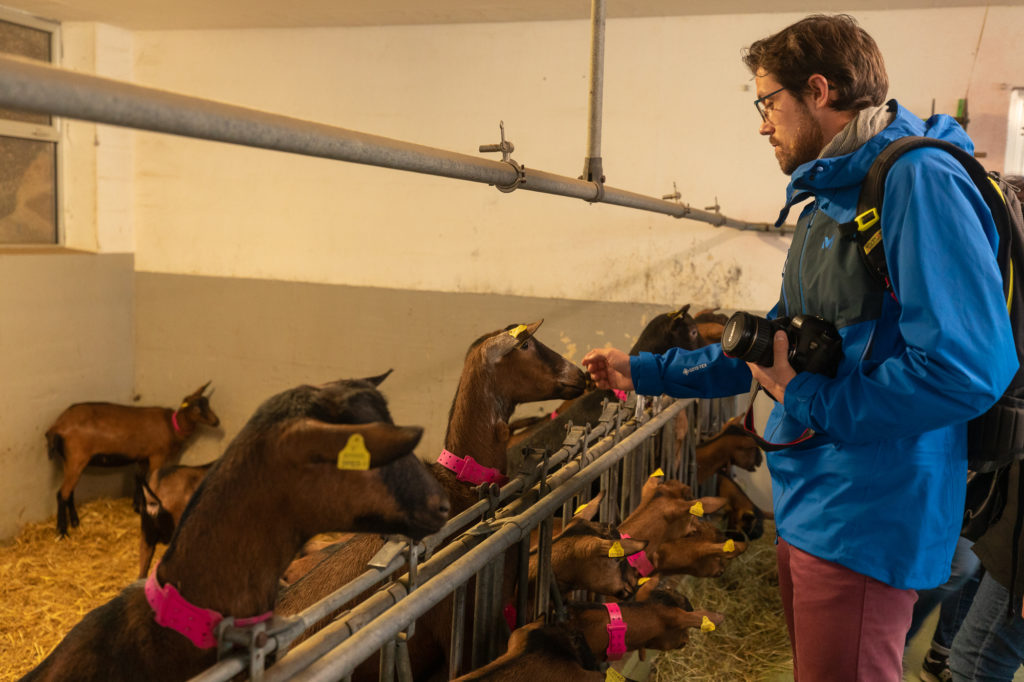 Blog sur un séjour à Courmayeur, en vallée d'Aoste, à l'automne