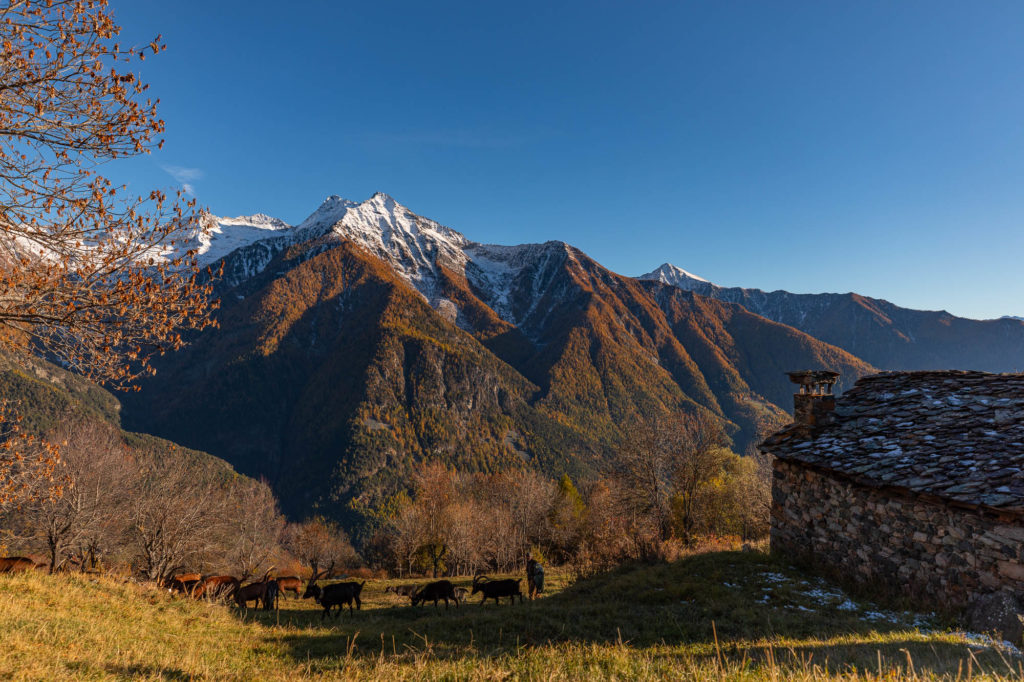 Que voir, que faire en vallée d'Aoste ? Séjour d'automne à Aoste. Blog sur Aoste, Cervinia, Courmayeur