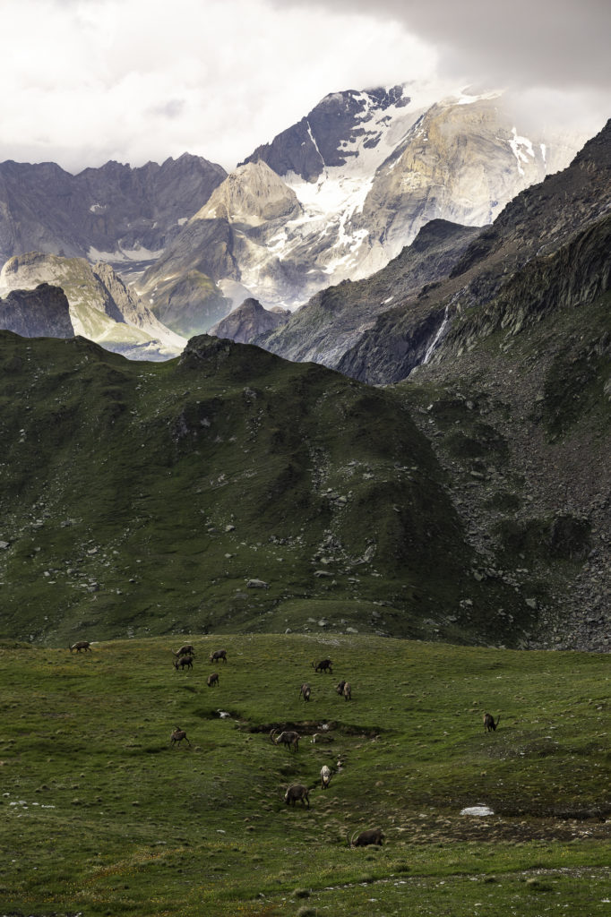 refuge de la valette pralognan la vanoise