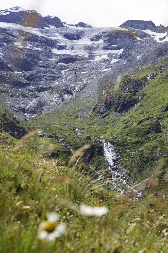 tour des glaciers de la vanoise randonnée au départ de pralognan