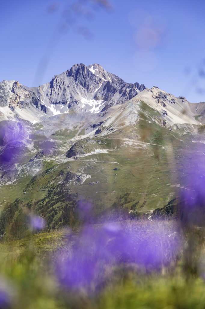 tour des glaciers de la vanoise randonnée au départ de pralognan