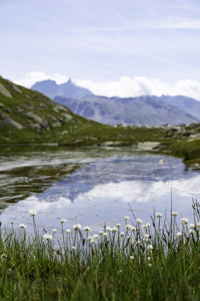 tour des glaciers de la vanoise randonnée au départ de pralognan