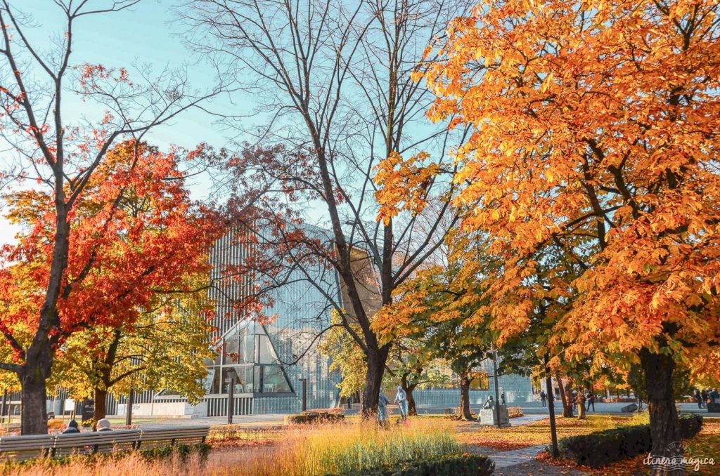 Où voir les couleurs d'automne, en Europe, au Japon, au Québec et ailleurs ? Les plus belles couleurs de l'automne par les blogueurs de voyage, pour des voyages chatoyants. #automne 