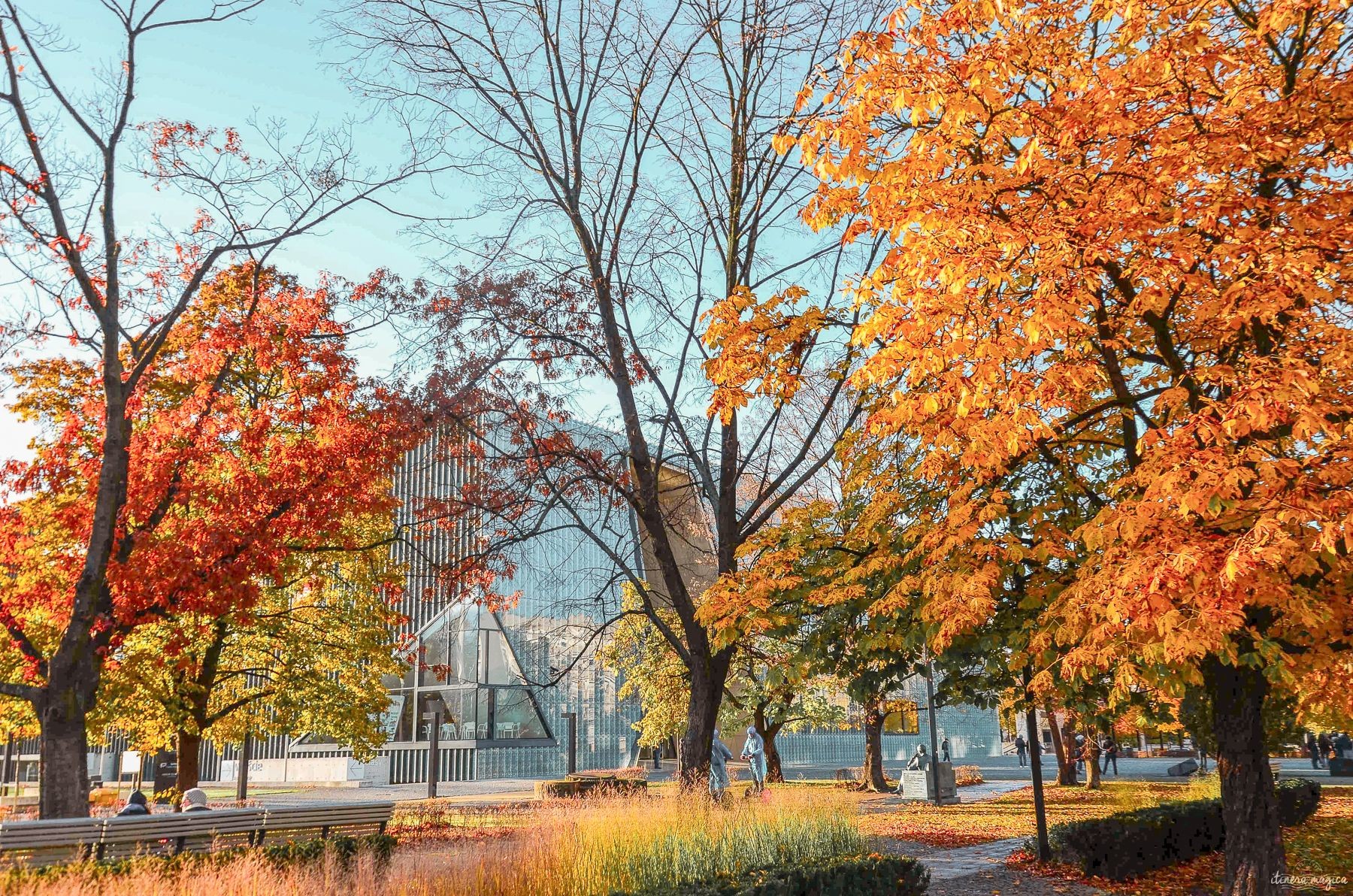 Où voir les couleurs d’automne en voyage ?