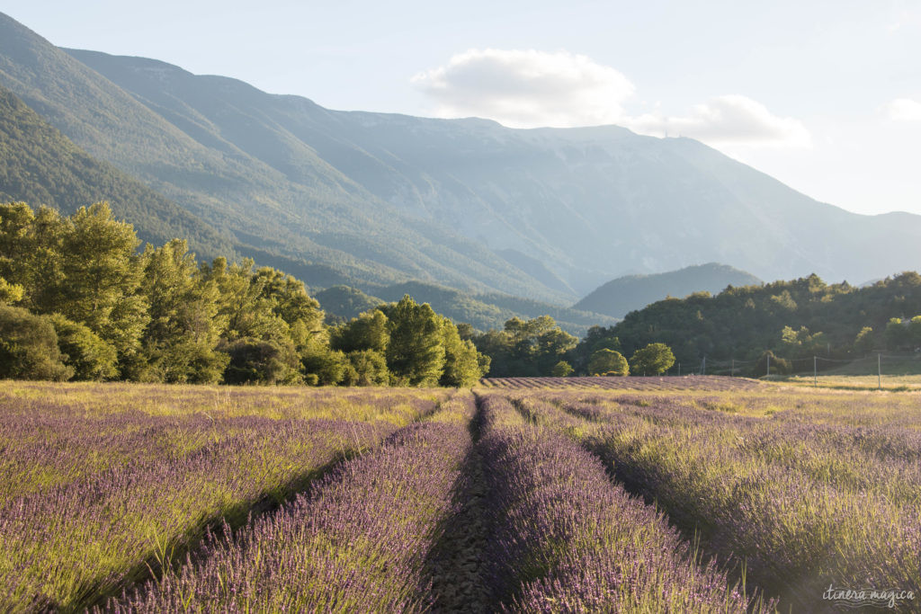 plus beaux sites naturels de provence