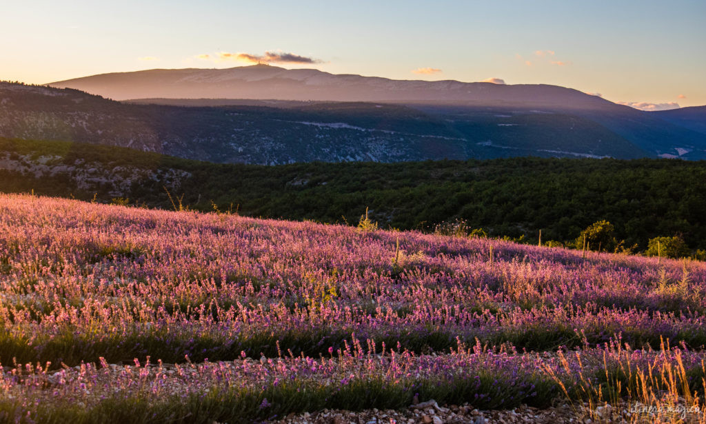 plus beaux sites naturels de provence