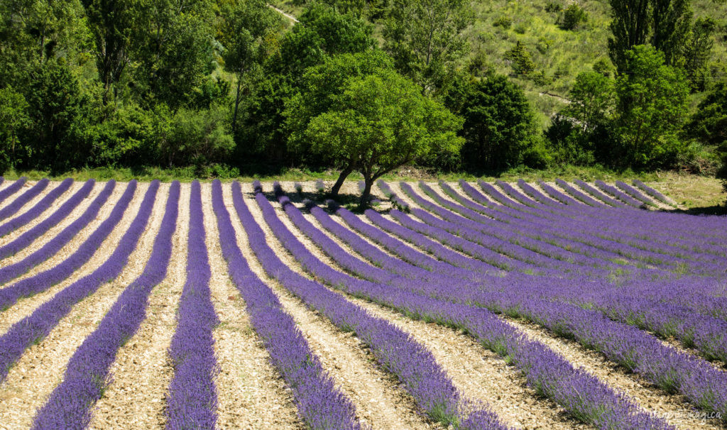 Must see in Provence: the best places to see in Provence, natural wonders of Provence