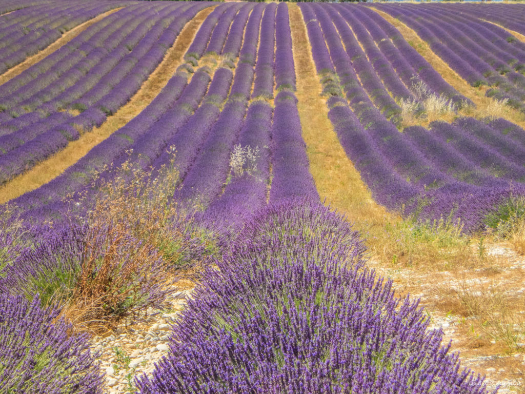 Must see in Provence: the best places to see in Provence, natural wonders of Provence