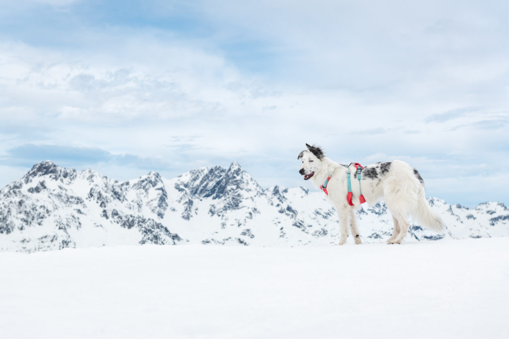 Au ski à Vaujany : une semaine de rêve avec Madame Vacances