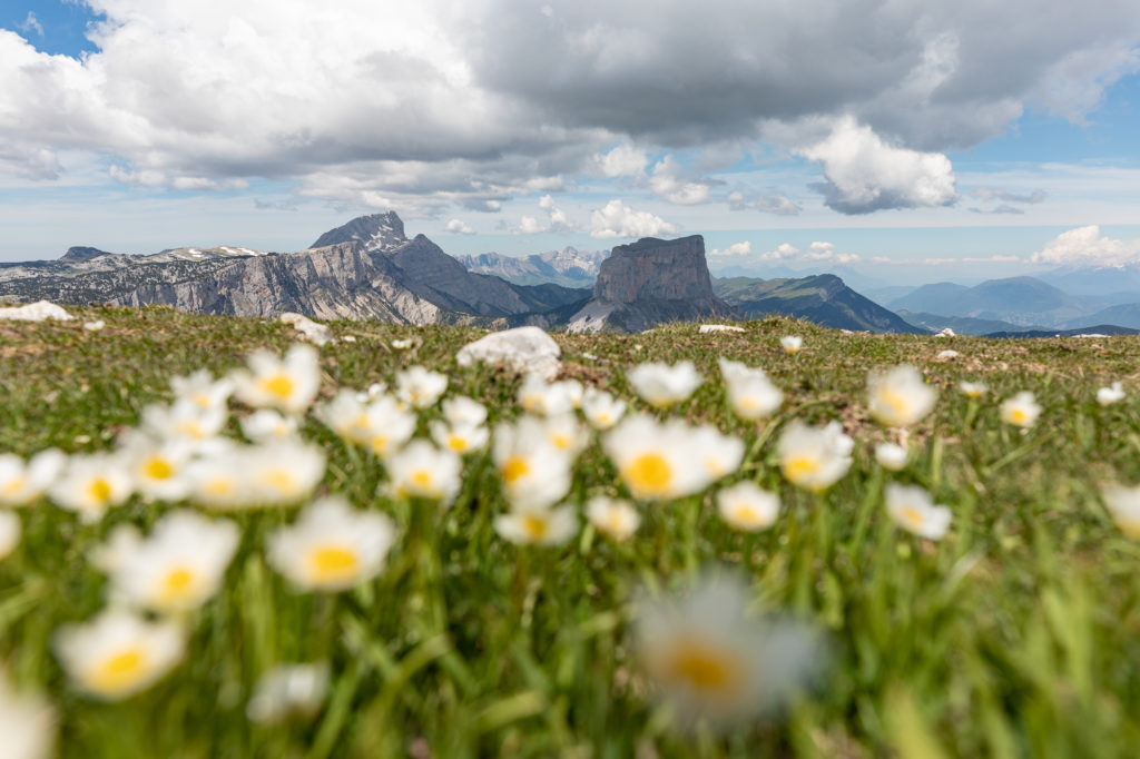 Randonnées en Diois, au sud du Vercors, avec vue sur le Mont Aiguille