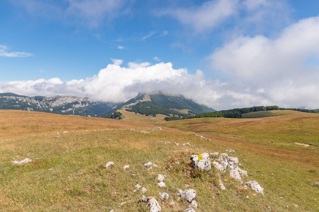 Que voir et que faire dans le Vercors drômois ? Le plateau d'Ambel en randonnée