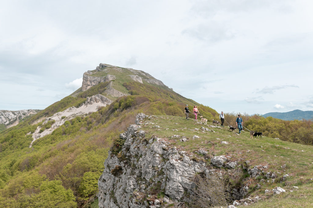 Que voir et que faire dans le Vercors drômois ? Le plateau d'Ambel en randonnée